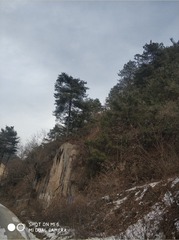 190127