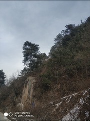190123