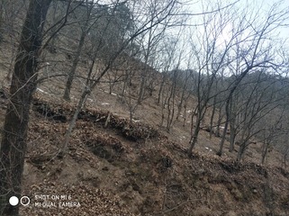 190101