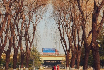 160014