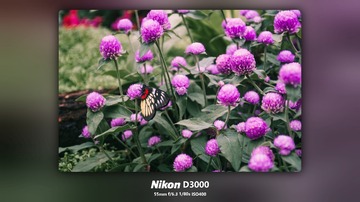 1000093664