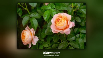 1000093663