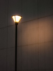 1000208602