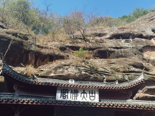 20008