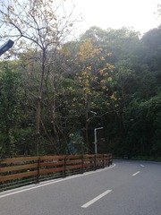 1804931