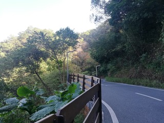 1804927