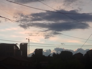 657