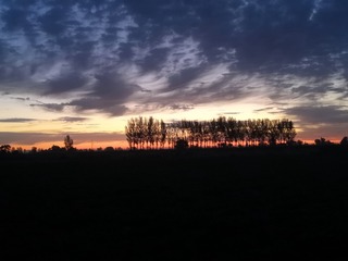 364281