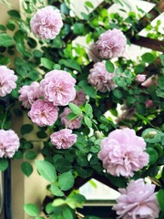 A5DEB338-5F41-43AE-A478-11A2E13394AF/L0/001