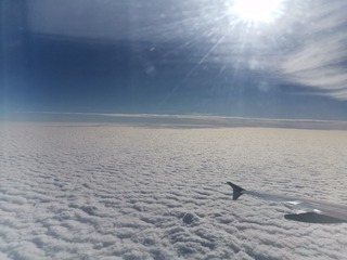 25017