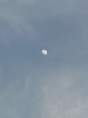 F2FD6710-9063-4397-ABF7-A2D70AB74002/L0/001
