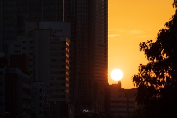2751E518-0379-4DC5-9D7E-06CB6E2C5810/L0/001