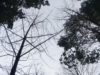 48822