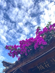 E0800B35-9432-4143-AE79-6C2442A4C748/L0/001