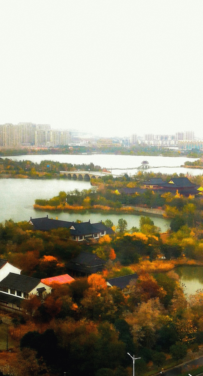江苏建湖秋色