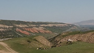 1000041316