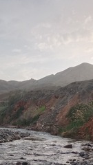 1000041392