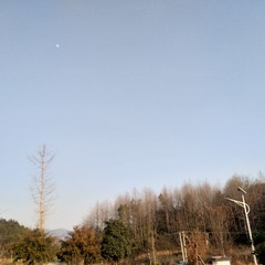 614497