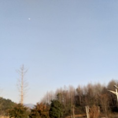 614498
