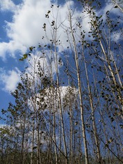 42BB1C97-3038-438F-9EB9-A5BB9B510A98/L0/001