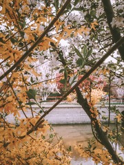 693BB2BA-5553-4DF9-929D-285AE2D06BA4/L0/001