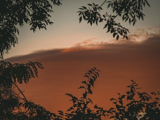8F6A1B82-CA65-41D9-A1C6-E4F9107F3C5E/L0/001