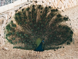 7279F033-56F5-47EC-A3B3-D487EEB23E42/L0/001