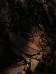 3249307