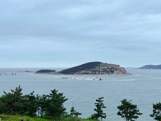7D1E8D21-B34C-4020-B1CD-3094F2CAD403/L0/001
