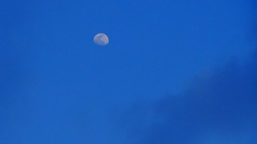 77373B0D-6488-4558-A50D-16CCF26C8844/L0/001