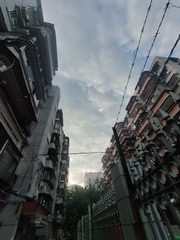 1000019229