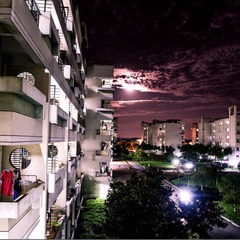 IMGP3739.jpg
