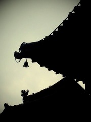 风吹过
