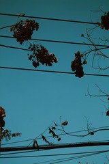 950F3EF3-1722-4AB6-9C1D-07A914E38C5A/L0/001