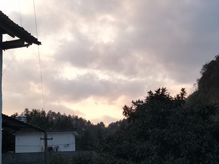 129099