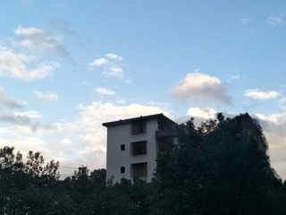 90591