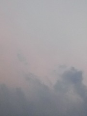446945CE-5707-433C-8F15-67345B575764/L0/001