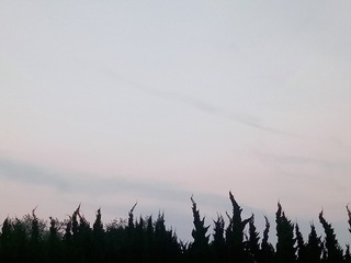 36A7DA29-AD18-4E77-9C2A-294791820768/L0/001