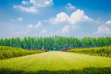1A083852-DD06-4F3A-A5D9-60CB7562A347/L0/001