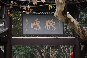 07428A42-6CCC-42B0-B0F8-803DC398FDBE/L0/001