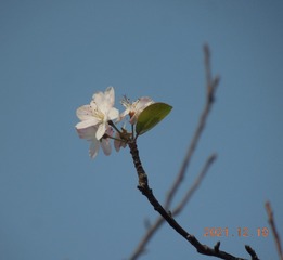 F49AE272-619A-4005-8043-43F7012BD705/L0/001