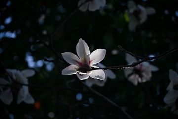 80EA22D0-70EF-4C3D-9B26-769B2B329BA0/L0/001