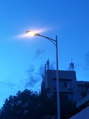 11816