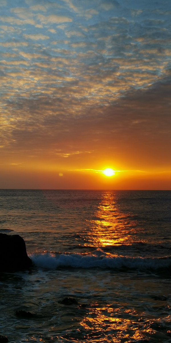 600_1200竖版 竖屏