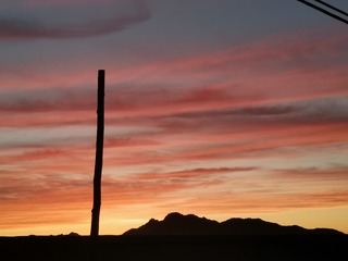 12316