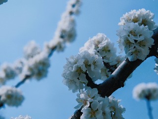 2269441F-D35E-4DEF-AAA9-2C03AE6730D5/L0/001