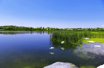 _DSC2515aaa
