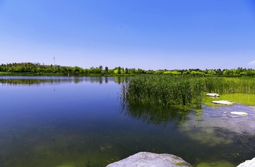 _DSC2515aa