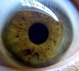 7CF6C72E-D9F7-4072-86E7-CF50C9705045/L0/001