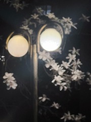 31FED29F-7DA2-4CCF-B233-D3493890801D/L0/001